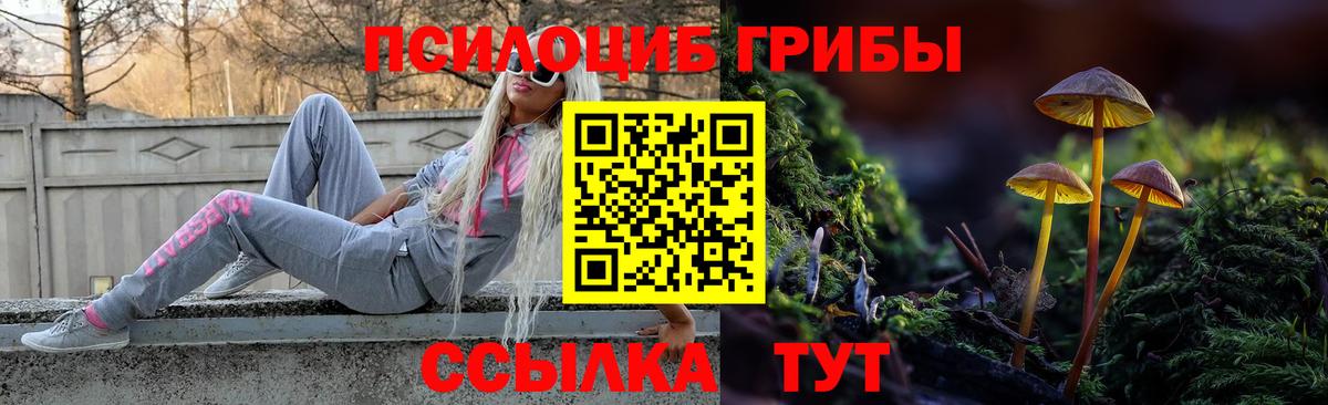 Псилоцибиновые грибы GOLDEN TEACHER  Вход с VPN  Ноябрьск 